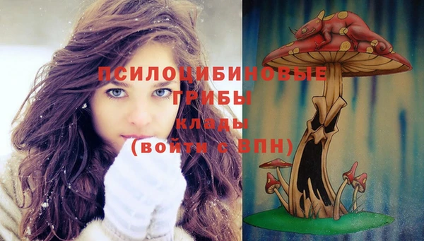 гашик Рославль