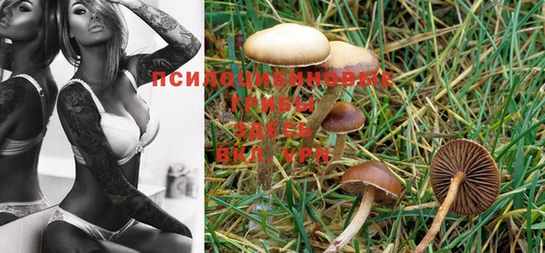 MDMA Premium VHQ Россошь