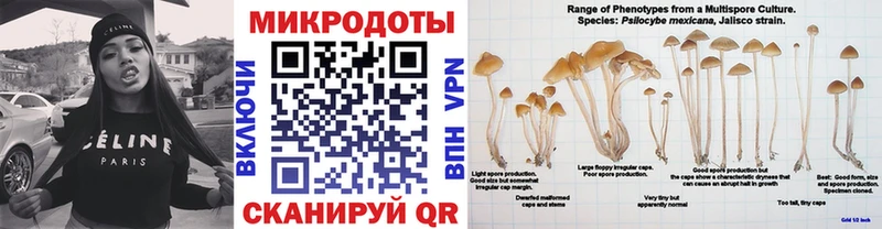 Купить  Миасс  Псилоцибиновые грибы Magic Shrooms 